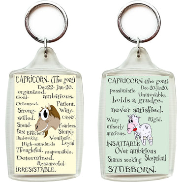 Zodiac Key Chain - CAPRICORN-gifts-WonderShop.In